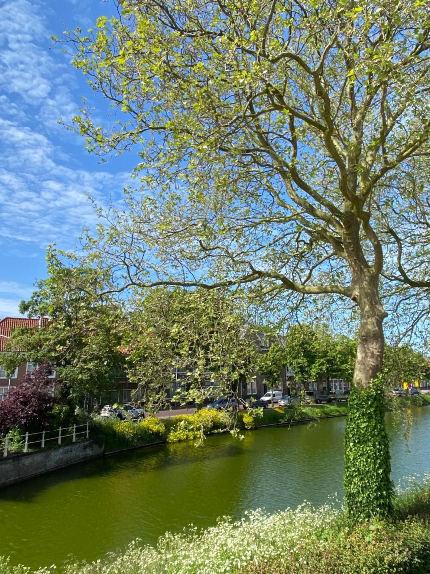 Kromme Weele 26 Middelburg Bagian luar foto